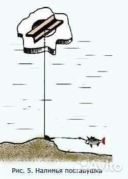 Донка на налима