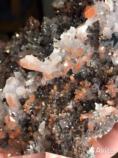 Кварц, халткопирит, пирит, кальцит