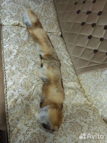 Лисий воротник