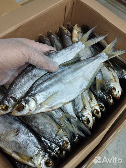 Вяленая рыба (секретный рецепт)