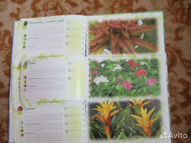 Книга о цветах