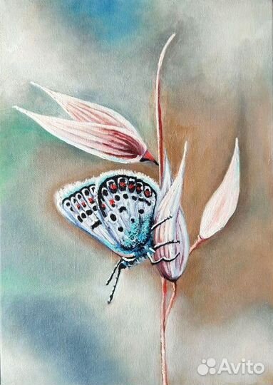 Картина с бабочкой, бабочка на цветке картина