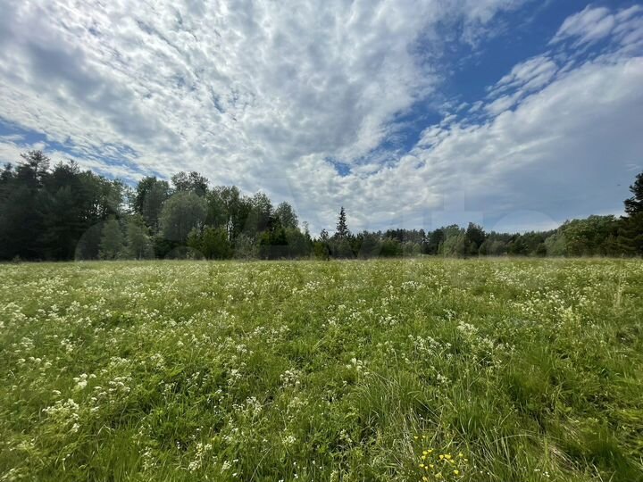 Участок 20 сот. (СНТ, ДНП)