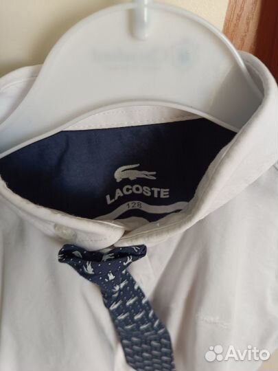 Белая рубашка с коротким рукавом Lacoste 128 р