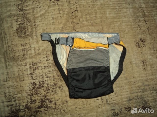 Трусики на Той терьера для течки