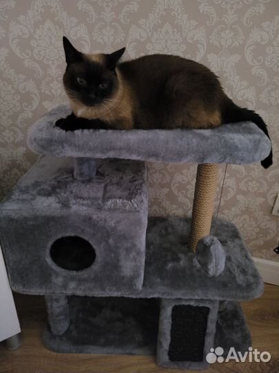 Домик для кошки с когтеточкой и лежанкой