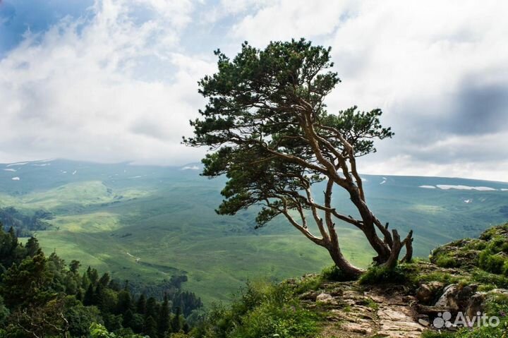 «Релакс выходные в Адыгее