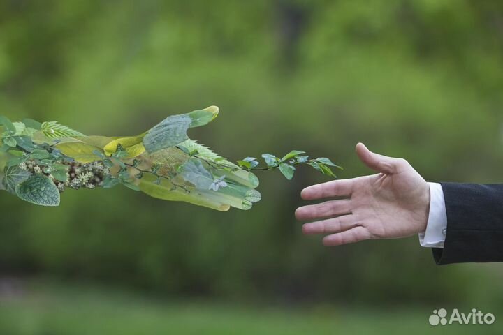 Эколог. Разработка экологической документации