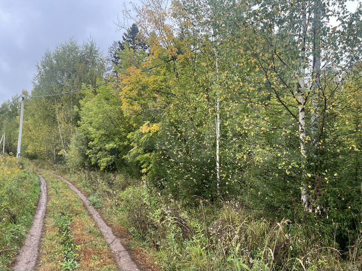 Участок 11 сот. (ИЖС)