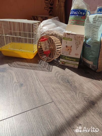 Клетка, корм, грунт, колёсико, поилка