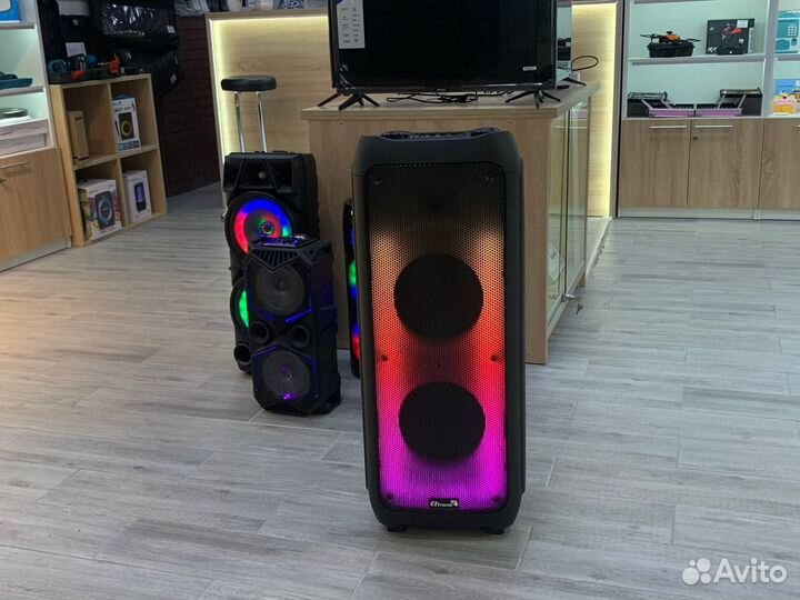 Колонка eltronic 20-61 1000W динамик 2шт/10