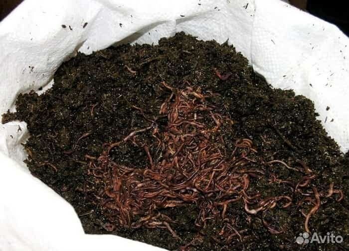 Биогумус в мешках