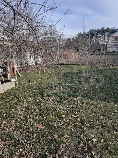 Дача 56,9 м² на участке 10 сот.