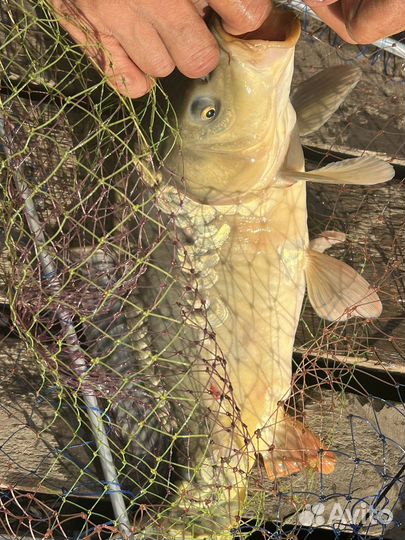 Рыбалка и отдых