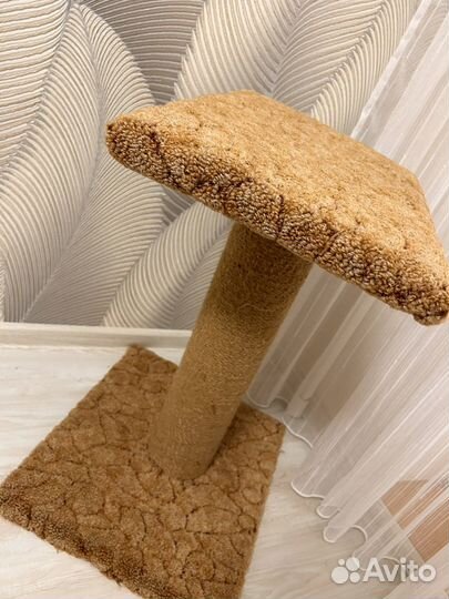 Царапки для кошек