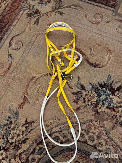 Уздечка для лошади cob