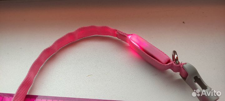 Светящийся ошейник за шт