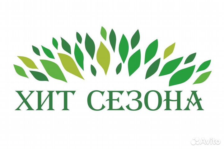 Продавец-кассир