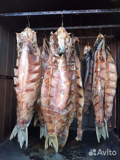 Домашнее копчение любого вида мяса+соление