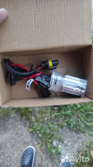 Лампа ксенона H1