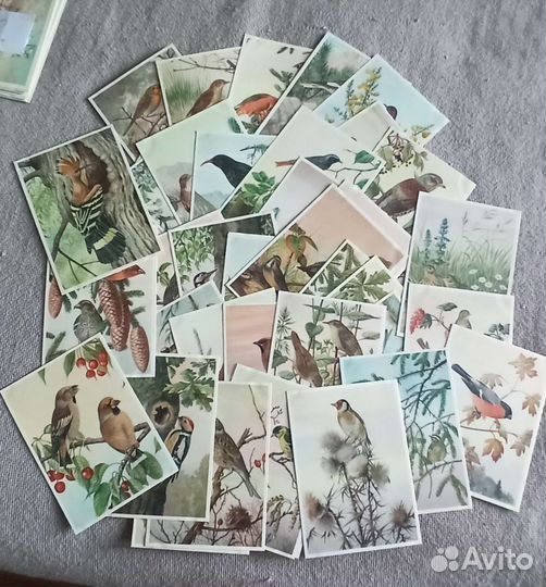 Наборы открыток СССР птицы