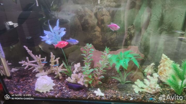Полностью оборудованный аквариум на 100 литров
