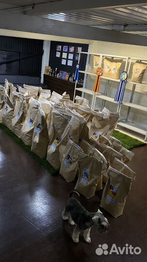 Сухой корм для собак презент 15 и 5 кг