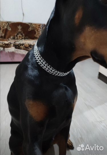 Ошейник цепь трехрядный