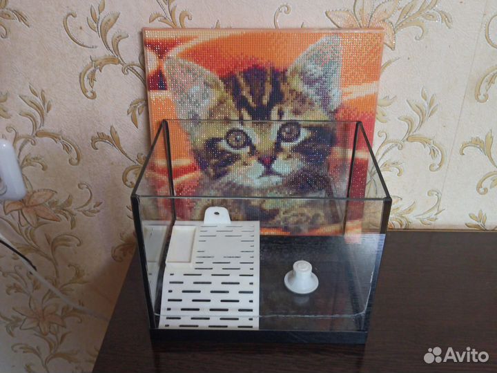 Аквариум для черепашки