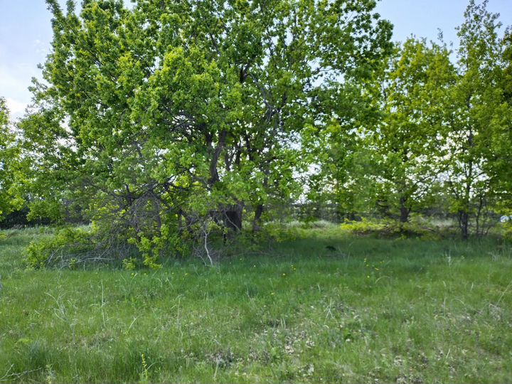 Участок 6,8 сот. (ИЖС)