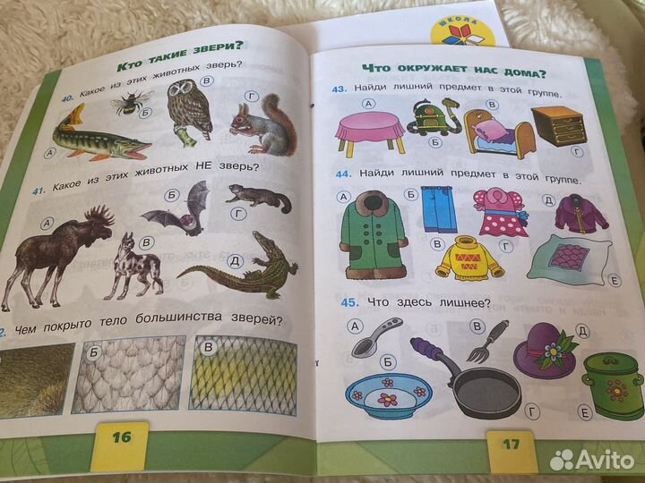 Рабочая тетрадь окружающий мир 1 класс