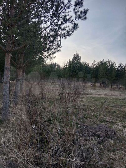 Участок 11,3 сот. (СНТ, ДНП)