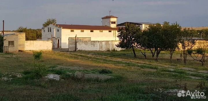 Продается производственная база скотоубойный пункт