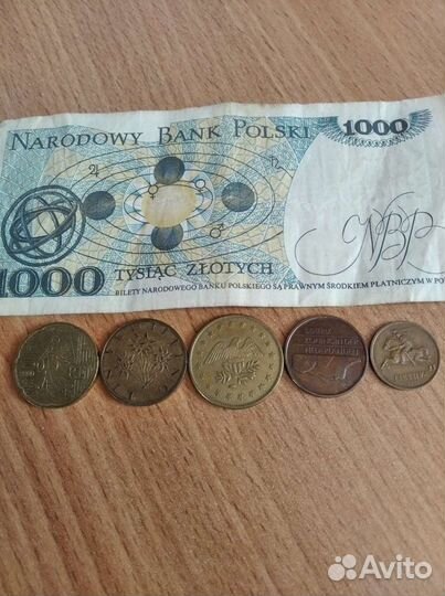 Коллекционирование