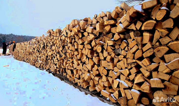 Дрова которые горят