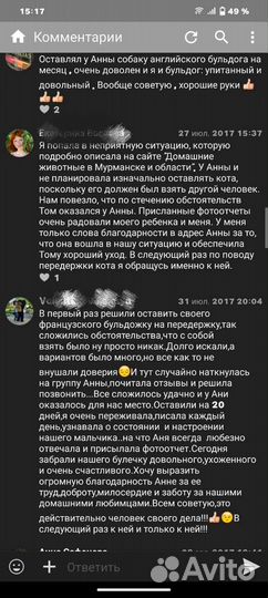 Передержка животных