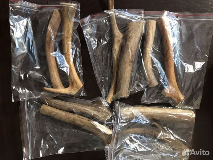 Рога оленя, лакомство для собак