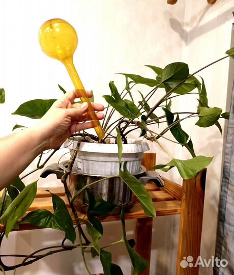 Шар для полива (набор 2 штуки)