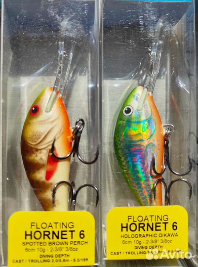 Salmo hornet 6F