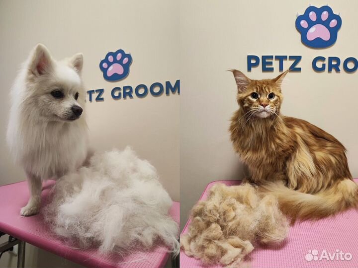 Экспресс линька, мытье, вычесывание кошек и собак