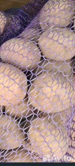 Продам картофель гала продукция 