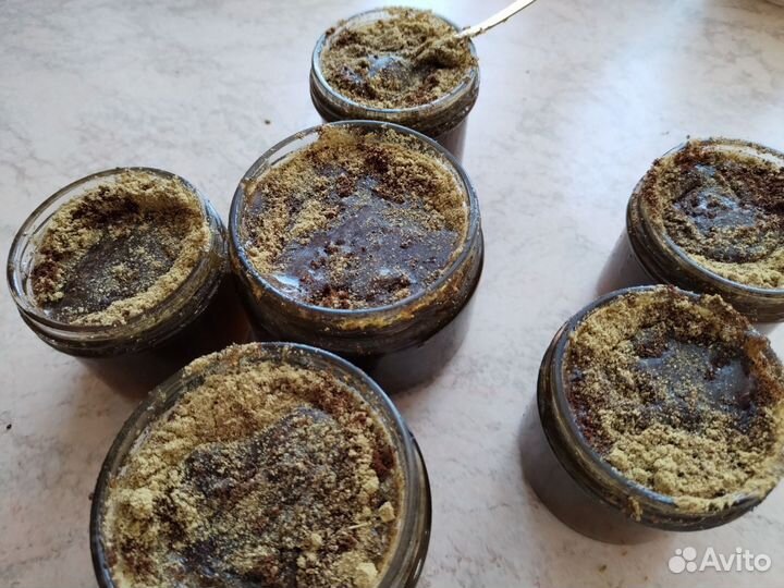 Мёд от глистных инвазий