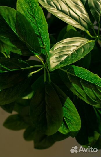 Искусственное дерево, растение, Стрелиция, Шефлера