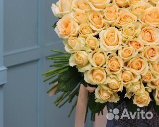 Букет из 101 кремовой розы 40 см (Россия)