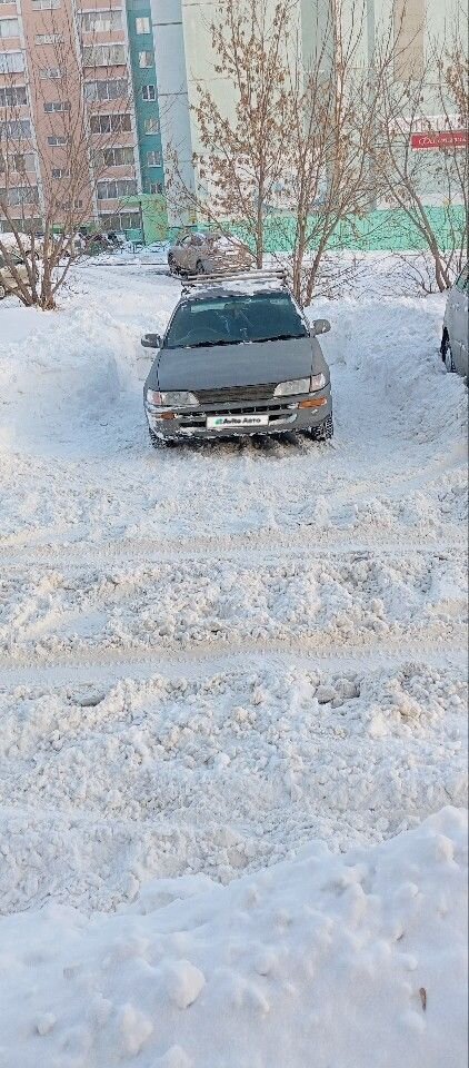 Toyota Corolla: фото владельца