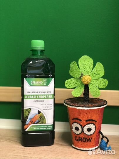 Раствор Хлореллы 1л