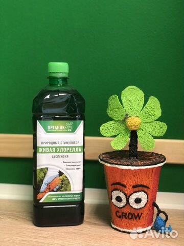 Раствор Хлореллы 1л