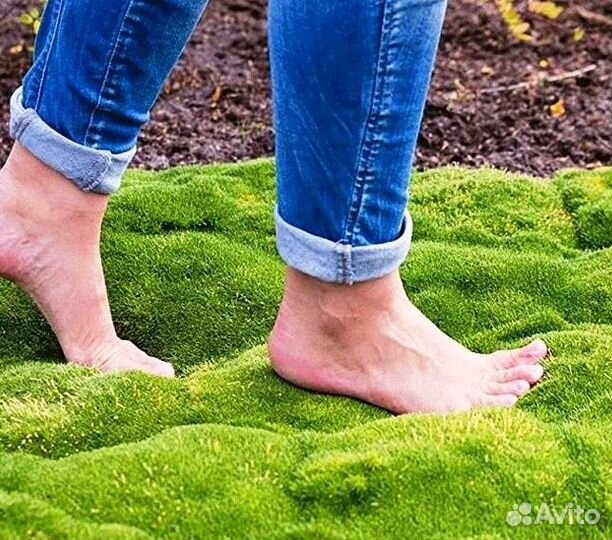 Мшанка - Цветущий Газон Р50 - Alena.park