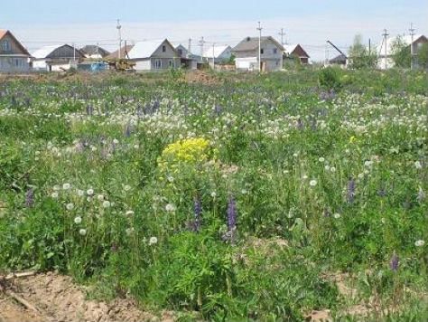 Участок 5,9 га (ИЖС)