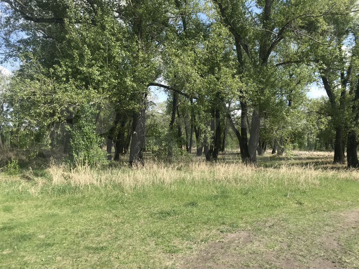 Участок 13 сот. (СНТ, ДНП)